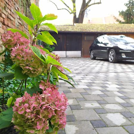 Tiny Cozy Accommodation Zagreb Bagian luar foto